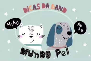 Dicas da Band - Mundo Pet, pela Mais Resultados